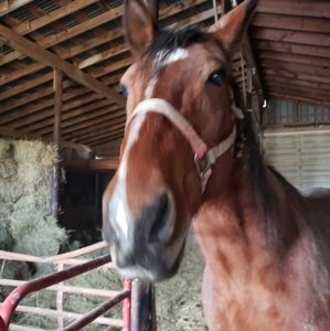 Meet your Posher, Katrina